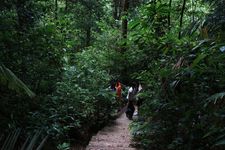 AMCF Gunung Jerai Trip