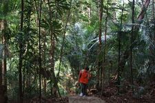 AMCF Gunung Jerai Trip