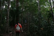 AMCF Gunung Jerai Trip