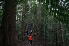 AMCF Gunung Jerai Trip