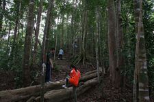 AMCF Gunung Jerai Trip