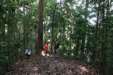 AMCF Gunung Jerai Trip