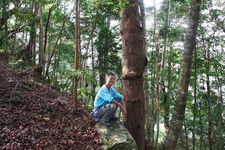 AMCF Gunung Jerai Trip