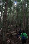 AMCF Gunung Jerai Trip