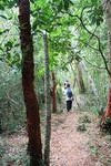 AMCF Gunung Jerai Trip