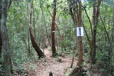 AMCF Gunung Jerai Trip