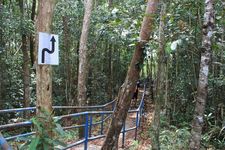 AMCF Gunung Jerai Trip