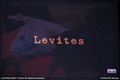 LEVITES 2007 - Point Of Breakthrough