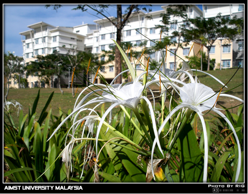 A Walk Around Aimst University