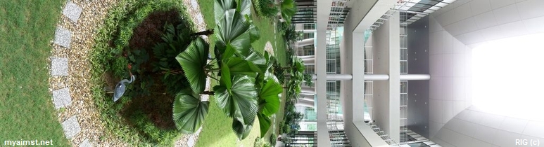  Aimst Administration building Indoor Garden