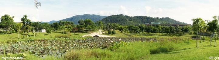 aimst lotus pond