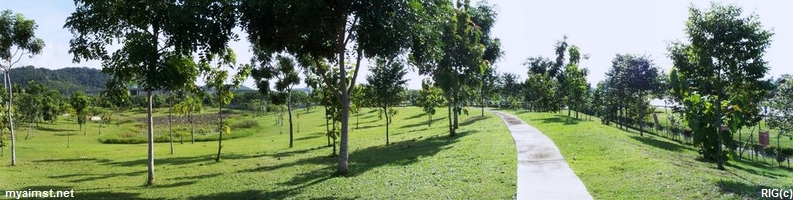 aimst lotus pond Surroundings